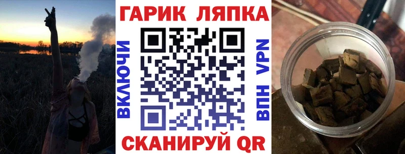 наркотики  Архангельск  Гашиш индика сатива 