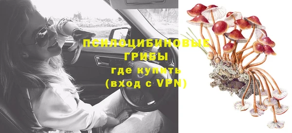 apvp Бородино