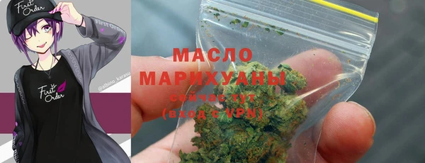 apvp Бородино