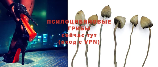 мескалин Бронницы