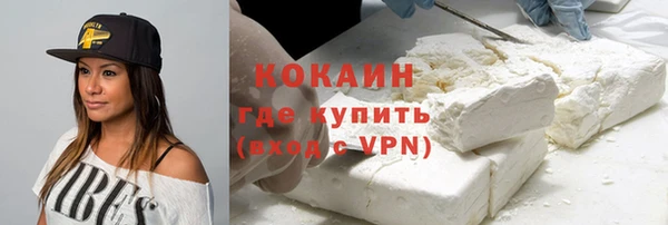 apvp Бородино
