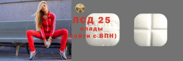 apvp Бородино