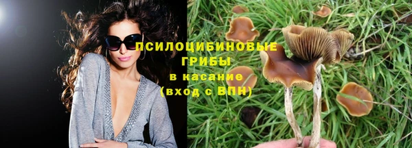apvp Бородино