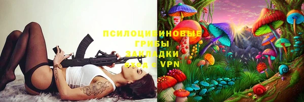 apvp Бородино